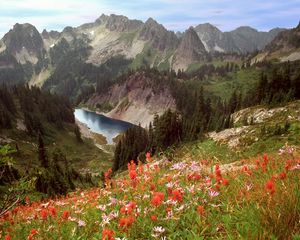 Preview wallpaper cliff lake, idaho, mountains, flowers, trees