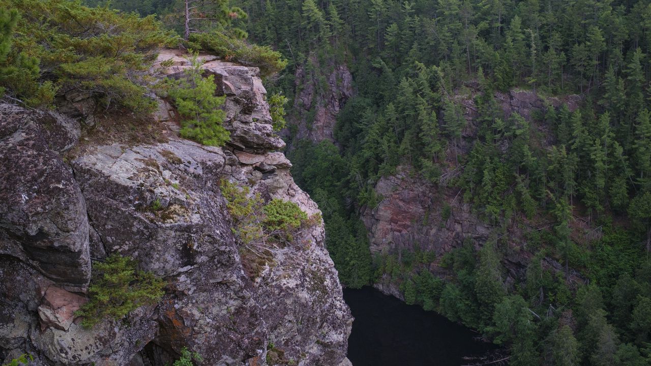 Wallpaper cliff, precipice, forest, river, nature, green