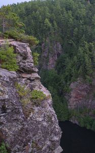 Preview wallpaper cliff, precipice, forest, river, nature, green