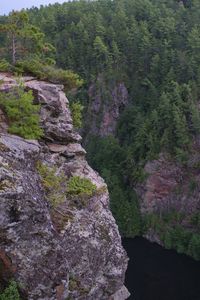 Preview wallpaper cliff, precipice, forest, river, nature, green