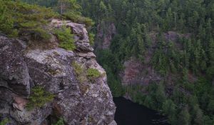 Preview wallpaper cliff, precipice, forest, river, nature, green