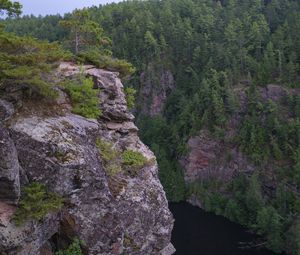 Preview wallpaper cliff, precipice, forest, river, nature, green