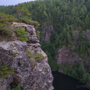 Preview wallpaper cliff, precipice, forest, river, nature, green
