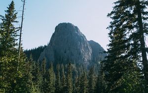 Preview wallpaper cliff, rock, trees, path, grass