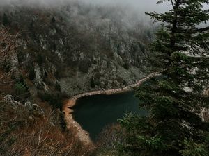 Preview wallpaper cliff, shore, trees, fog, landscape