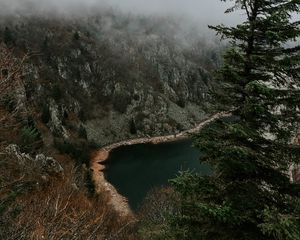 Preview wallpaper cliff, shore, trees, fog, landscape