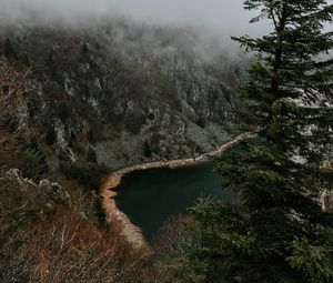 Preview wallpaper cliff, shore, trees, fog, landscape