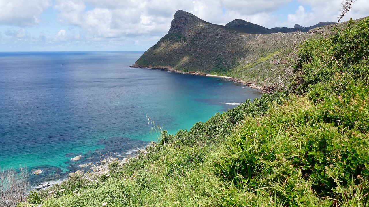 Wallpaper cliff, slope, coast, sea, grass