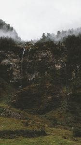 Preview wallpaper cliff, trees, fog, streams, nature