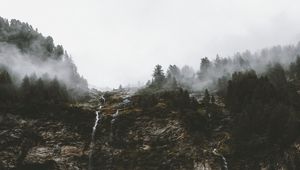 Preview wallpaper cliff, trees, fog, streams, nature