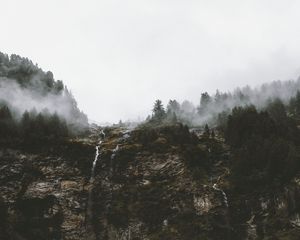 Preview wallpaper cliff, trees, fog, streams, nature