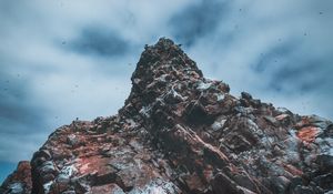 Preview wallpaper cliffs, rocks, birds, islas ballestas, peru