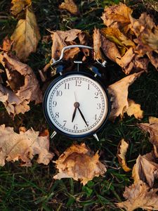 Preview wallpaper clock, alarm clock, time, leaves, autumn, aesthetics
