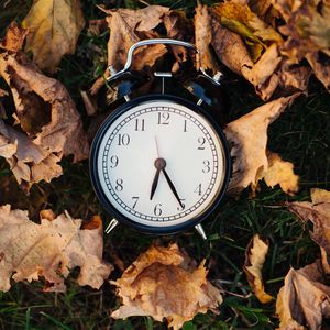 Preview wallpaper clock, alarm clock, time, leaves, autumn, aesthetics