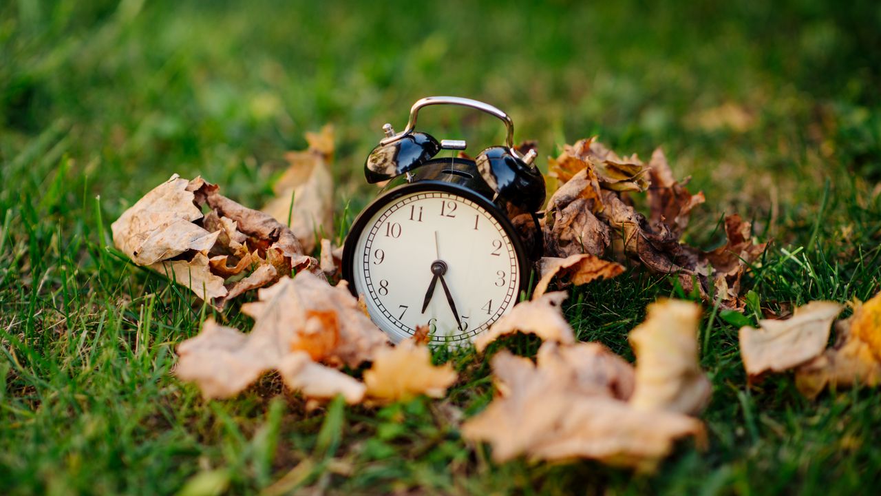 Wallpaper clock, alarm clock, time, fallen leaves, autumn