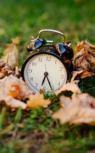 Preview wallpaper clock, alarm clock, time, fallen leaves, autumn