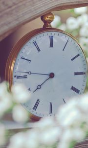 Preview wallpaper clock, flowers, dial