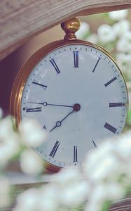 Preview wallpaper clock, flowers, dial