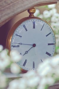 Preview wallpaper clock, flowers, dial