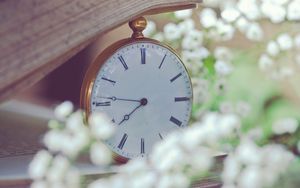 Preview wallpaper clock, flowers, dial