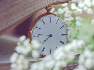 Preview wallpaper clock, flowers, dial