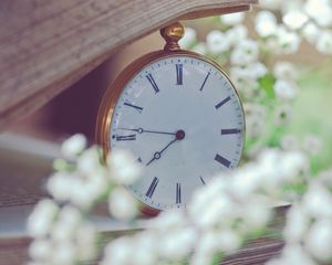 Preview wallpaper clock, flowers, dial