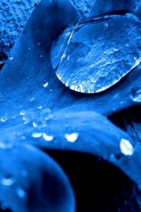 Preview wallpaper close-up, drop, leaf, blue