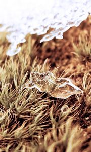 Preview wallpaper close-up, snow, grass, dry, ice