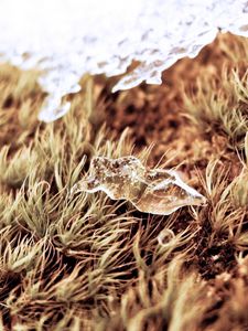 Preview wallpaper close-up, snow, grass, dry, ice