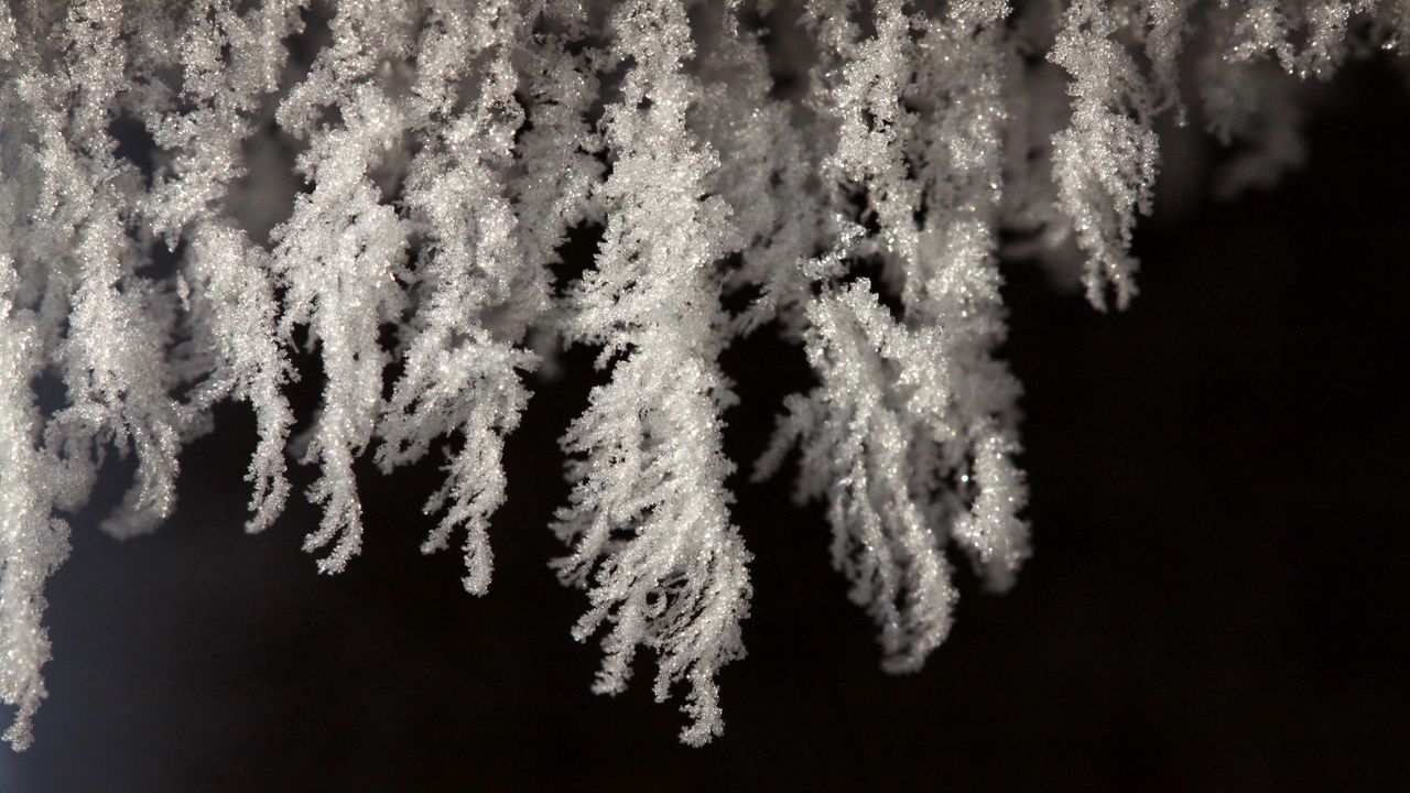 Wallpaper close-up, white, black, snow, snowflakes