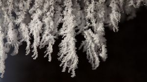 Preview wallpaper close-up, white, black, snow, snowflakes