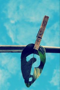 Preview wallpaper clothespins, leaves, rope, sky, clouds