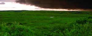 Preview wallpaper clouds, bad weather, cloudy, greens, wood, trees, kroner