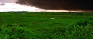 Preview wallpaper clouds, bad weather, cloudy, greens, wood, trees, kroner