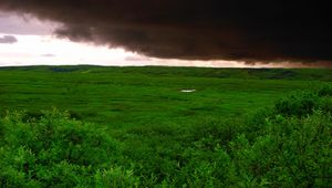 Preview wallpaper clouds, bad weather, cloudy, greens, wood, trees, kroner