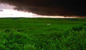 Preview wallpaper clouds, bad weather, cloudy, greens, wood, trees, kroner