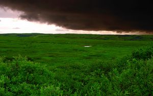 Preview wallpaper clouds, bad weather, cloudy, greens, wood, trees, kroner