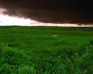 Preview wallpaper clouds, bad weather, cloudy, greens, wood, trees, kroner