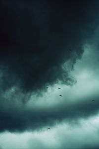 Preview wallpaper clouds, birds, sky