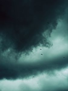 Preview wallpaper clouds, birds, sky