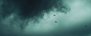 Preview wallpaper clouds, birds, sky