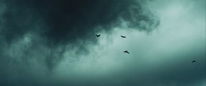 Preview wallpaper clouds, birds, sky
