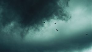 Preview wallpaper clouds, birds, sky