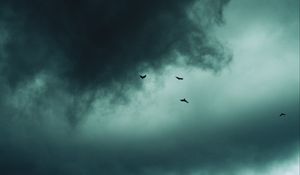 Preview wallpaper clouds, birds, sky