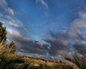 Preview wallpaper clouds, ears, sky, trees