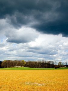 Preview wallpaper clouds, field, sky, gray, gloomy, storm, summer, august, grass mown, yellow