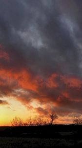 Preview wallpaper clouds, heavy, tree, decline, outlines, sky