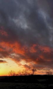 Preview wallpaper clouds, heavy, tree, decline, outlines, sky