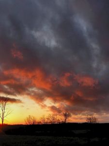 Preview wallpaper clouds, heavy, tree, decline, outlines, sky