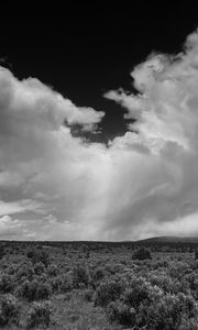 Preview wallpaper clouds, landscape, bw, bushes, trees, hills